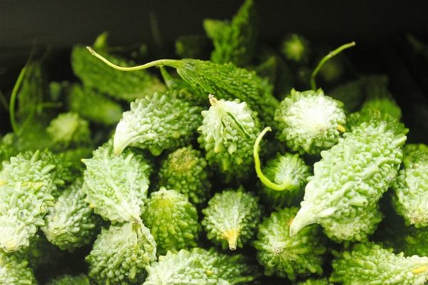 山苦瓜（Momordica charantia var. muricata）：圖片 4
