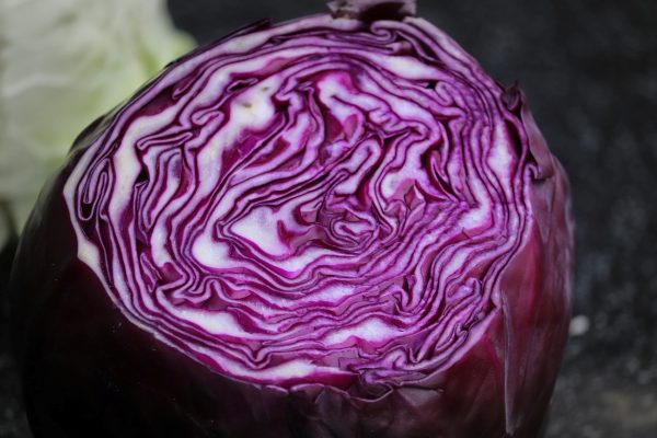 紫甘藍 （Red Cabbage）：圖片 2