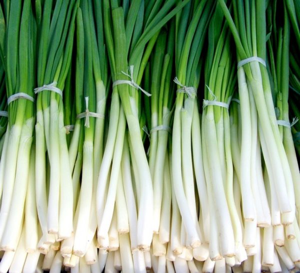 青蔥（Green Onion）：圖片 4