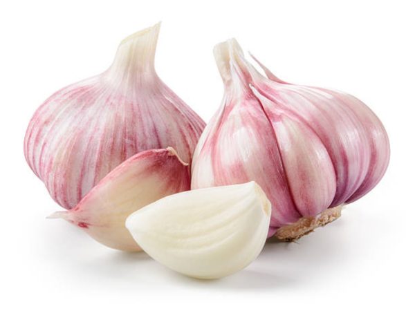大蒜（Garlic）