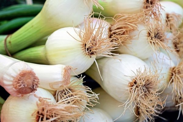 青蔥（Green Onion）：圖片 2