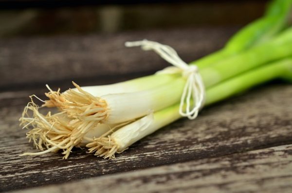 青蔥（Green Onion）
