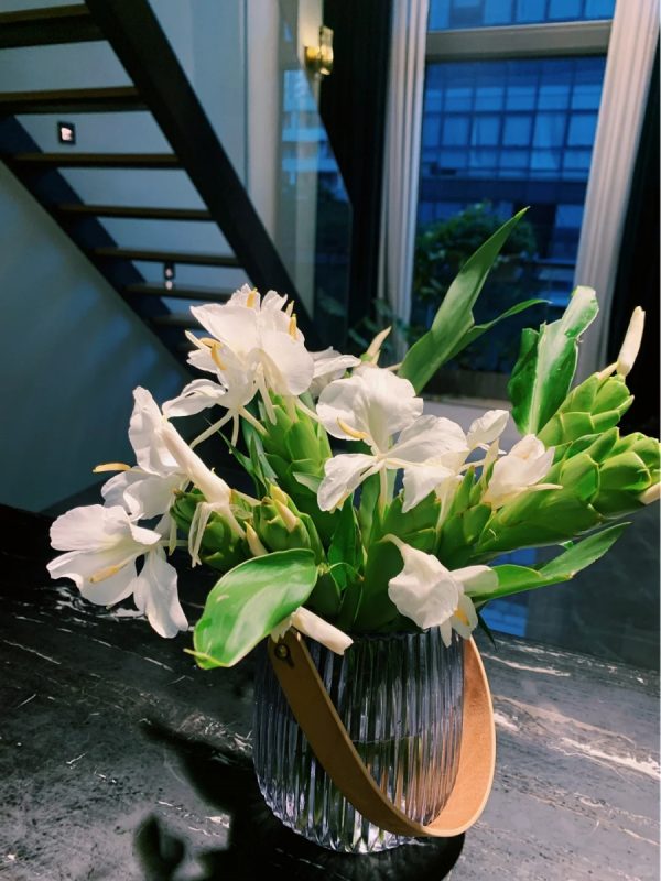 野薑花（Hedychium coronarium）：圖片 3
