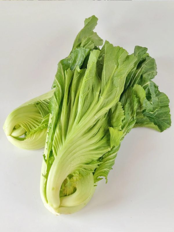 芥菜 brassica juncea）